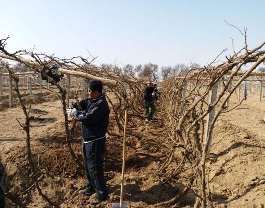 QQ图片20170312090453